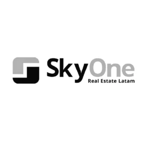 skyone